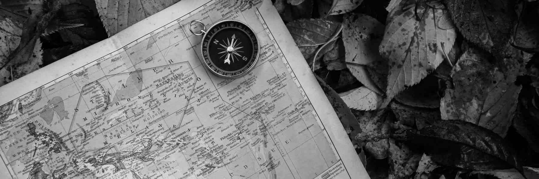 land valuer